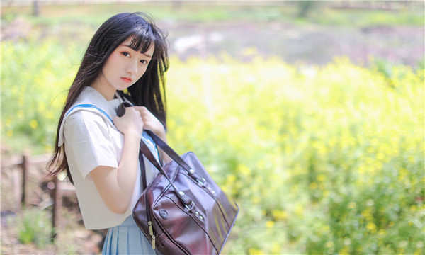 朝阳代怀生子什么意思｜代怀是什么意思？